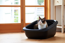 株式会社オーエフティーのプレスリリース画像1