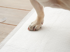 株式会社オーエフティーのプレスリリース画像3