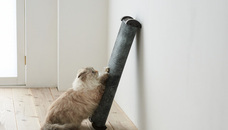 株式会社オーエフティーのプレスリリース画像1