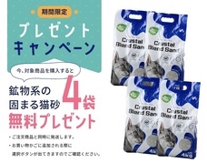 株式会社オーエフティーのプレスリリース画像3