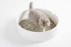 株式会社オーエフティーのプレスリリース画像9