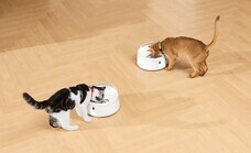 株式会社オーエフティーのプレスリリース画像3