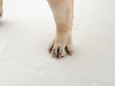 株式会社オーエフティーのプレスリリース画像2