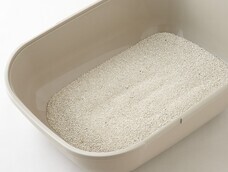 株式会社オーエフティーのプレスリリース画像6