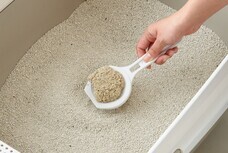 株式会社オーエフティーのプレスリリース画像4