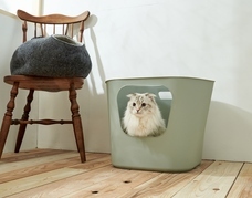 株式会社オーエフティーのプレスリリース画像6