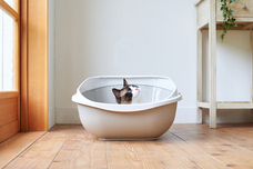 株式会社オーエフティーのプレスリリース画像4