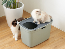 株式会社オーエフティーのプレスリリース画像5