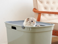 株式会社オーエフティーのプレスリリース画像1