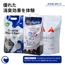 株式会社オーエフティーのプレスリリース画像4