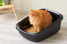 株式会社オーエフティーのプレスリリース画像2