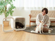 株式会社オーエフティーのプレスリリース画像6