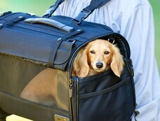 株式会社オーエフティーのプレスリリース画像1