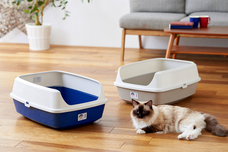 株式会社オーエフティーのプレスリリース画像2