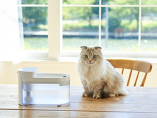 株式会社オーエフティーのプレスリリース画像2