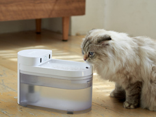 株式会社オーエフティーのプレスリリース画像1