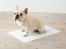 株式会社オーエフティーのプレスリリース画像4