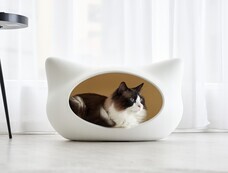 株式会社オーエフティーのプレスリリース画像1