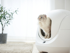 株式会社オーエフティーのプレスリリース画像2