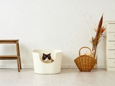 株式会社オーエフティーのプレスリリース画像3