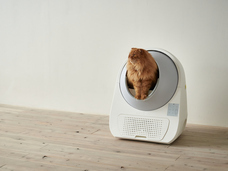 株式会社オーエフティーのプレスリリース画像4