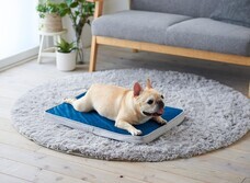 株式会社オーエフティーのプレスリリース画像5