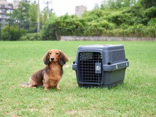 株式会社オーエフティーのプレスリリース画像3