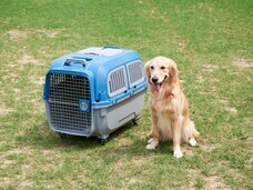 株式会社オーエフティーのプレスリリース画像5