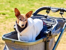 株式会社オーエフティーのプレスリリース画像3