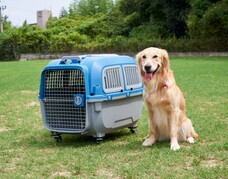 株式会社オーエフティーのプレスリリース画像1