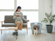 株式会社オーエフティーのプレスリリース画像7