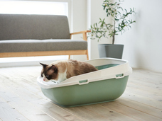 株式会社オーエフティーのプレスリリース画像5