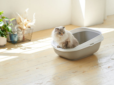 株式会社オーエフティーのプレスリリース画像6