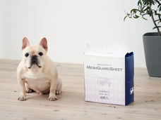 株式会社オーエフティーのプレスリリース画像5