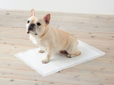 株式会社オーエフティーのプレスリリース画像6