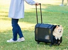 株式会社オーエフティーのプレスリリース画像1