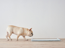 株式会社オーエフティーのプレスリリース画像4