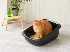 株式会社オーエフティーのプレスリリース画像1