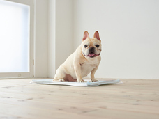 株式会社オーエフティーのプレスリリース画像3