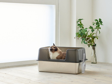 株式会社オーエフティーのプレスリリース画像2