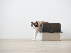 株式会社オーエフティーのプレスリリース画像5