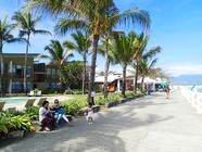 ハロハロアライアンスのプレスリリース画像2