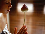 株式会社サンザのプレスリリース画像3