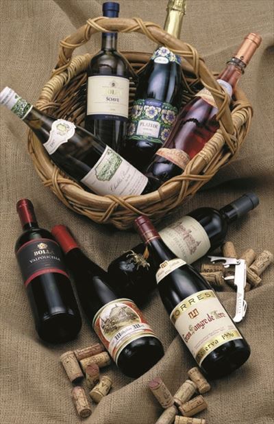 株式会社サンザのプレスリリース画像6