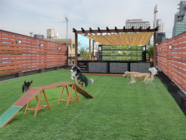 株式会社サンザのプレスリリース画像2