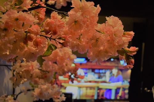 株式会社サンザのプレスリリース画像3