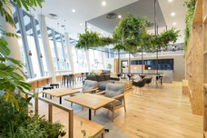 株式会社サンザのプレスリリース画像3