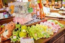 株式会社サンザのプレスリリース画像3