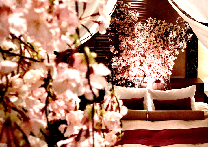 バリアン新宿本店 日本一早い 桜を見る会 ホテルの客室に 生花の桜が咲いた インドア花見つき お泊まり女子会プラン 予約受付開始 株式会社サンザのプレスリリース バリアン新宿本店 日本一早い 桜を見る会 ホテルの客室に 生花の桜が咲いた インドア花見つき お泊まり女子会プラン 予約受付開始 株式会社サンザのプレスリリース