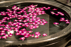 株式会社サンザのプレスリリース画像5